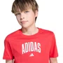 Camiseta Juvenil Adidas M/C Collegiate JV5194