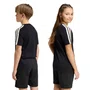 Camiseta Juvenil Adidas M/C Collegiate KE1638