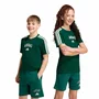 Camiseta Juvenil Adidas M/C Collegiate KE1639