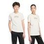 Camiseta Juvenil Adidas M/C Collegiate KW7977