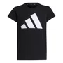 Camiseta Juvenil Adidas M/C Essentials Big Logo JC9624