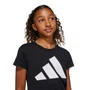 Camiseta Juvenil Adidas M/C Essentials Big Logo JC9624