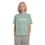 Camiseta Juvenil Adidas M/C Essentials Linear Logo JZ7812