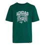 Camiseta Juvenil Adidas M/C Football  KA2964
