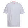 Camiseta Juvenil Adidas M/C Internacional II 25/26 IV6021