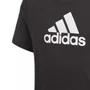 Camiseta Juvenil Adidas M/C Logo Adidas GJ6650