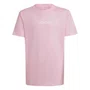 Camiseta Juvenil Adidas M/C Logo Linear JC9750
