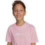 Camiseta Juvenil Adidas M/C Logo Linear JC9750