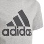 Camiseta Infantil Adidas Essentials HE9281