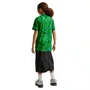 Camiseta Juvenil Nike M/C Brasil Torcedor II 26/27 IB5091-302