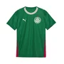 Camiseta Juvenil Puma M/C Palmeiras Torcedor I 26 787224-01