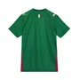 Camiseta Juvenil Puma M/C Palmeiras Torcedor I 26 787224-01