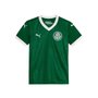 Camiseta Juvenil Puma Palmeiras Torcedor I 25 782441-01