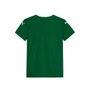 Camiseta Juvenil Puma Palmeiras Torcedor I 25 782441-01