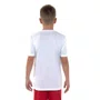 Camiseta Juvenil Umbro M/C Legacy U17TW00435-222
