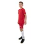 Camiseta Juvenil Umbro M/C Legacy U17TW00435-444