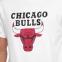 Camiseta New Era NBA Chicago Bulls Masculina NBI21TSH059-BR