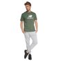 Camiseta New Balance Essentials Masculina MT31541B-DON