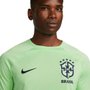 Camiseta Nike Brasil Academy Pro Masculina DM9532-390