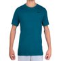 Camiseta Nike Dry Legend 2.0 Masculino 718833-308