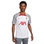 Camiseta Nike Liverpool FC Strike M/C Masculina DR4587-101
