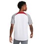 Camiseta Nike Liverpool FC Strike M/C Masculina DR4587-101