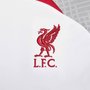 Camiseta Nike Liverpool FC Strike M/C Masculina DR4587-101