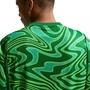 Camiseta Nike M/C Brasil Goleiro Tor Pro 26 Masc IB5267-302
