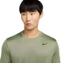 Camiseta Nike M/C DF Legend Masculina DX0989-320