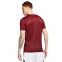 Camiseta Nike M/C DF Park VII Masculina BV6708-677