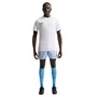 Camiseta Nike M/C DF Park VIII Masculina HV8173-100