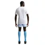 Camiseta Nike M/C DF Park VIII Masculina HV8173-100