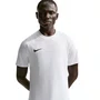 Camiseta Nike M/C DF Park VIII Masculina HV8173-100