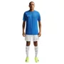 Camiseta Nike M/C DF Park VIII Masculina HV8173-463