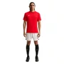 Camiseta Nike M/C DF Park VIII Masculina HV8173-657