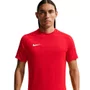 Camiseta Nike M/C DF Park VIII Masculina HV8173-657