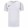 Camiseta Nike M/C Df Park20 Masculina BV6883-100