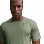 Camiseta Nike M/C Dri-Fit Flex Masculino IO1425-320