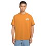 Camiseta Nike M/C Sb Logo Low Brand Masculina DC7817-815