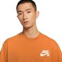 Camiseta Nike M/C Sb Logo Low Brand Masculina DC7817-815
