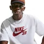 Camiseta Nike M/C SB Masculina CV7539-102