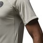 Camiseta  Nike PSG Treino Strike Third 23/24 Masc DZ0786-231