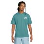 Camiseta Nike M/C Sb Logo Low Brand Masculina DC7817-379