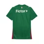 Camiseta Puma M/C Palmeiras Torcedor I 26 Feminina 787227-01