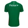 Camiseta Puma M/C Palmeiras Torcedor I 26 Masc 787218-01
