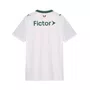 Camiseta Puma M/C Palmeiras Torcedor II 26 Masc 787257-01