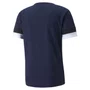 Camiseta Puma M/C Teamrise Masculina 704932-06