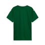 Camiseta Puma Palmeiras Torcedor I 25 Masculina 782426-01