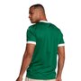 Camiseta Puma Palmeiras Torcedor I 25 Masculina 782426-01