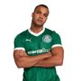 Camiseta Puma Palmeiras Torcedor I 25 Masculina 782426-01